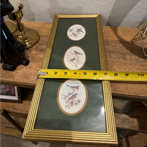 Unbranded Bird Prints Wall Decor with Beautiful Framed&Glass - Picture 8 of 9